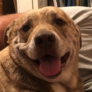 Meet your Posher, Cheresa